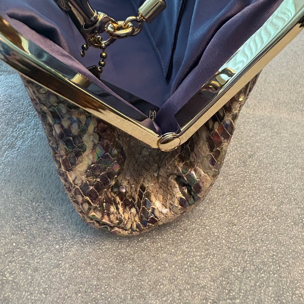 Coach-Darcy  Embossed Python Clutch - Picture 12 of 12